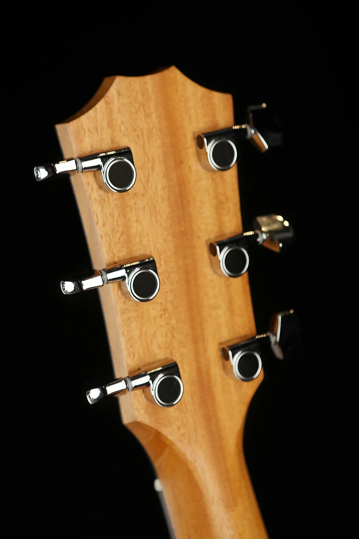 Taylor 214ce Walnut Acoustic Electric Guitar
